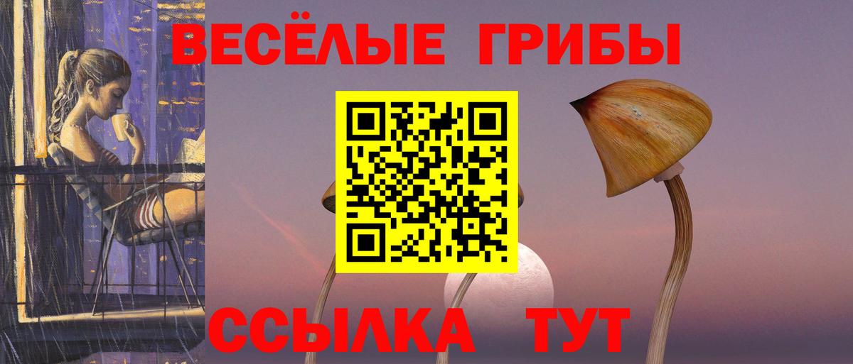 Псилоцибиновые грибы MAGIC MUSHROOMS Кимры